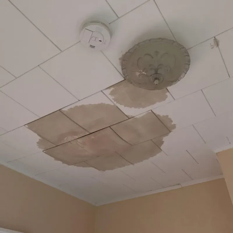 Ceiling Water Damage Repair in Omega, GA