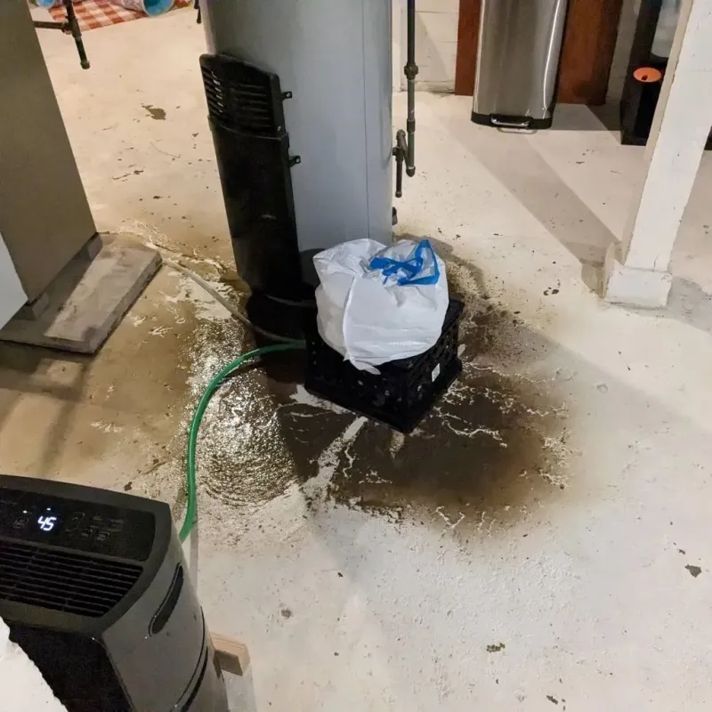Sewage Backup Cleanup Service in Omega, GA
